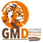 LOGO_GMD_PNG
